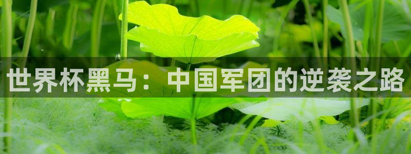 2026世界杯赛:世界杯黑马:中国军团的逆袭之路