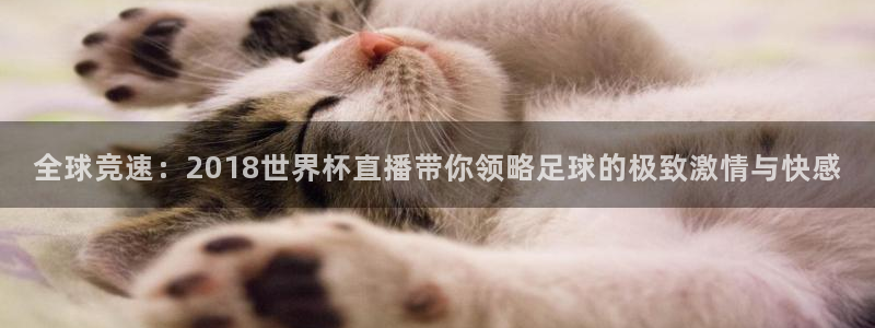 2026年世界杯赛程表时间:全球竞速:2018世界杯直播带你领略足球的极致激情与快感