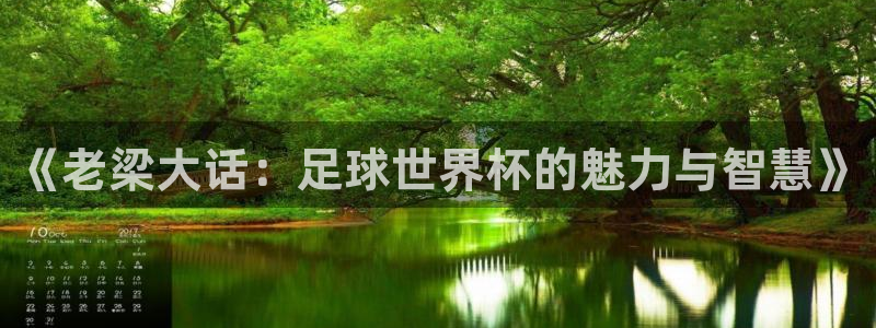 2026世界杯德国队阵容:《老梁大话:足球世界杯的魅力与智慧》
