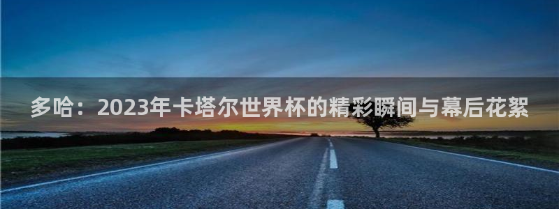 世界杯对阵图2026:多哈:2023年卡塔尔世界杯的精彩瞬间与幕后花絮