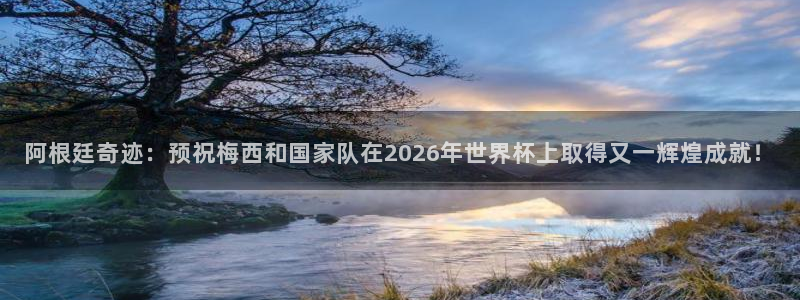 亚洲杯足球:阿根廷奇迹:预祝梅西和国家队在2026年世界杯上取得又一辉煌成就!