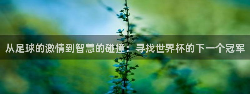 2026足球世界杯:从足球的激情到智慧的碰撞:寻找世界杯的下一个冠军