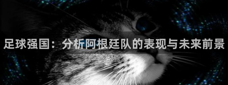 世界杯预选赛赛程表:足球强国:分析阿根廷队的表现与未来前景