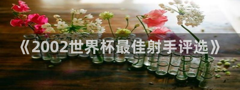 世界杯足球赛:《2002世界杯最佳射手评选》